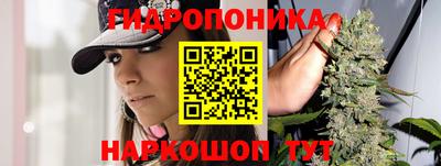 прущие грибы Бузулук