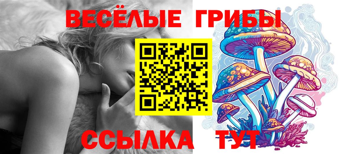 Северобайкальск  Псилоцибиновые грибы прущие грибы  Псилоцибиновые грибы Psilocybe  Вход с VPN 