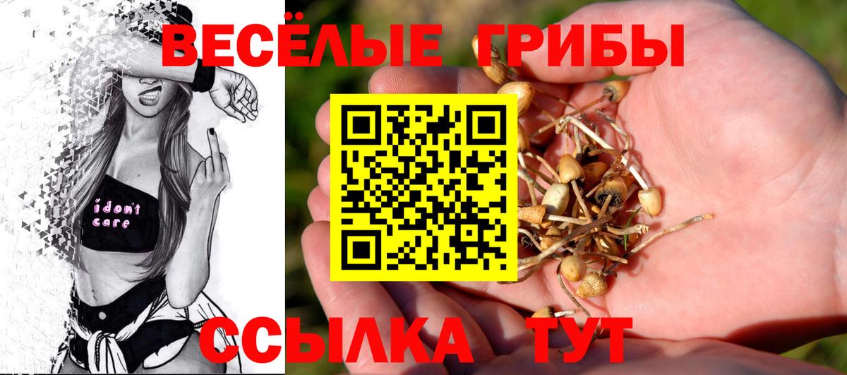 Галлюциногенные грибы мухоморы Северобайкальск